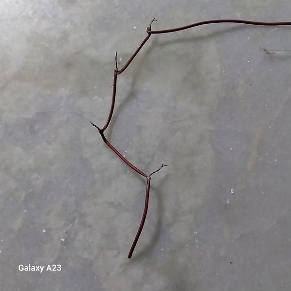 양극선 연결