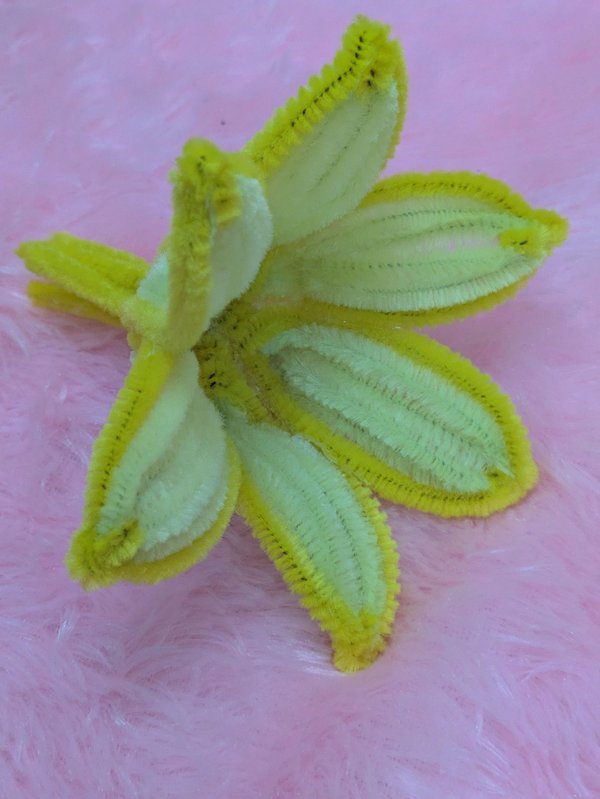백합꽃