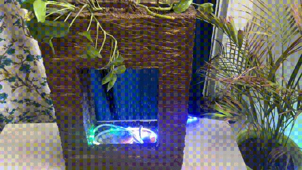 소개: 식물과 LED 조명이 있는 DIY 실내 분수
