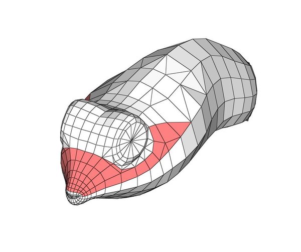 콧구멍 영역