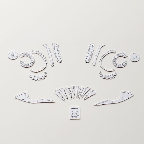 콧구멍 영역