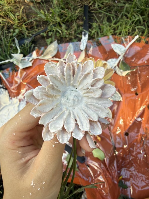 바르기
