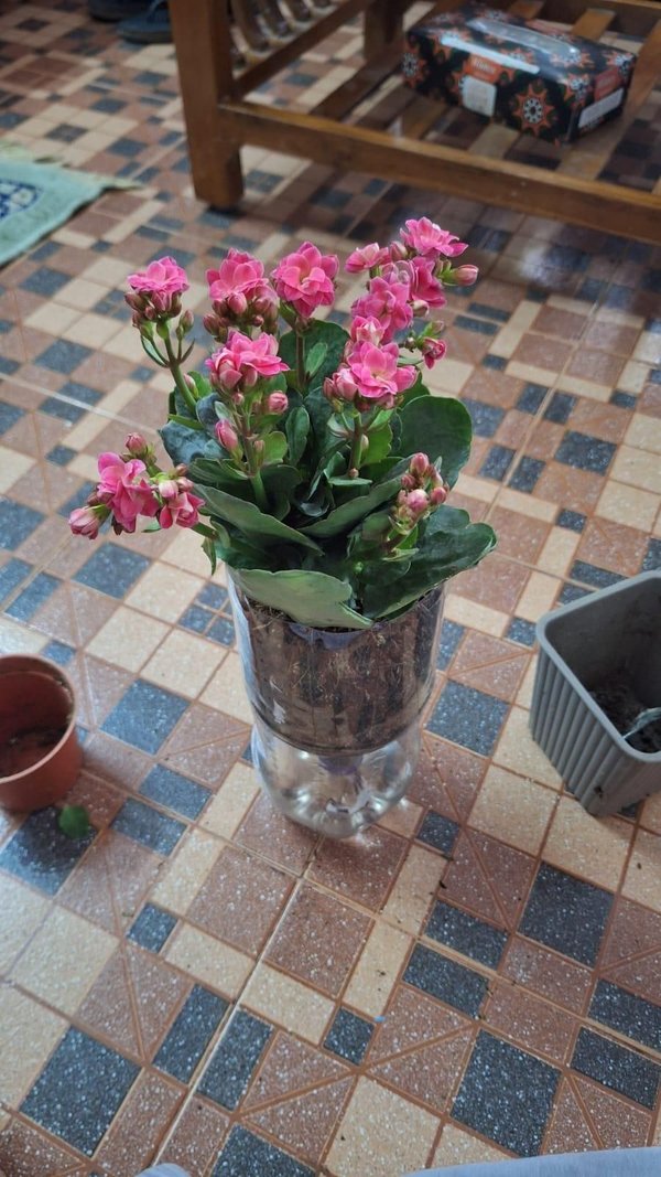 완성 결과