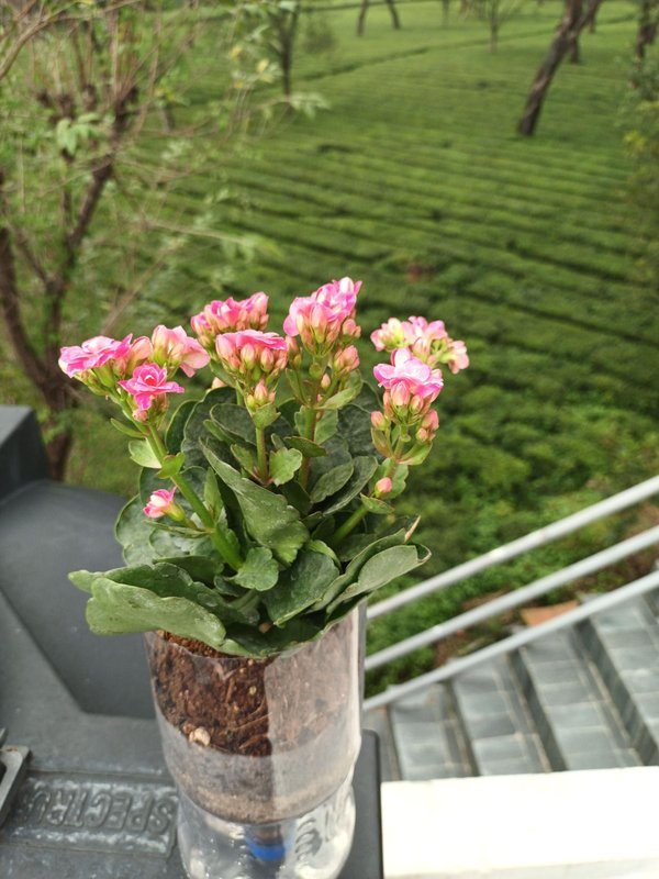 완성 결과