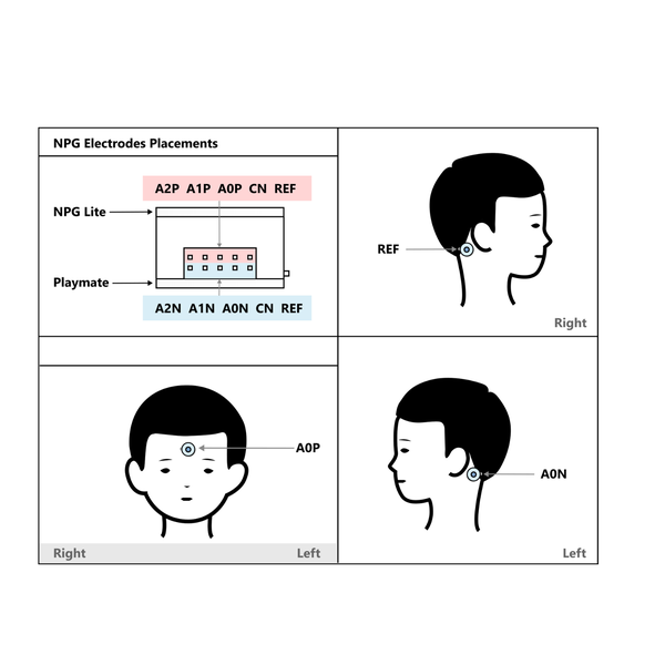 BCI 제어 기능 설정하기