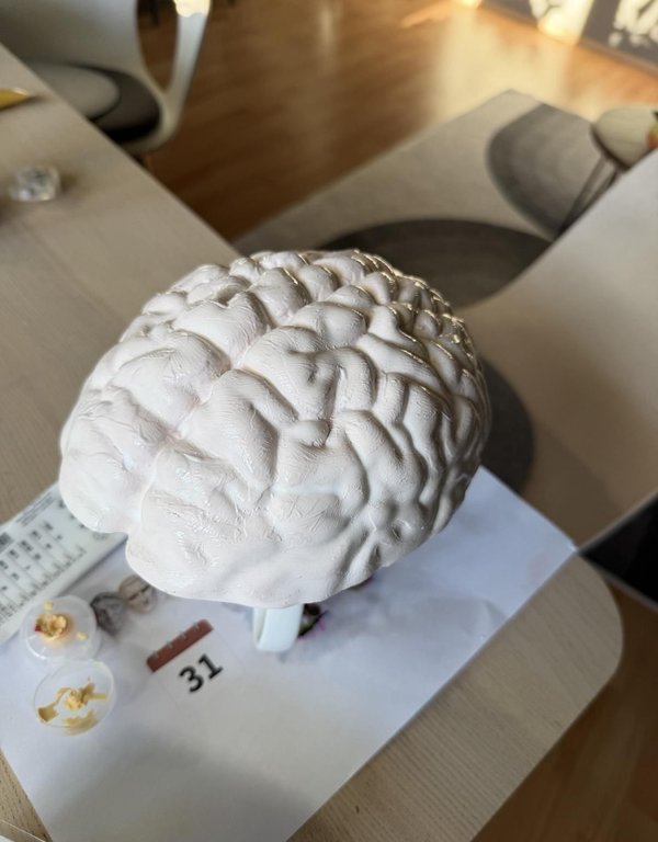 뇌 주형 만들기