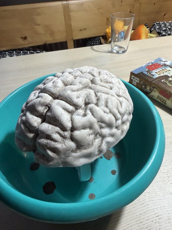 뇌 주형 만들기