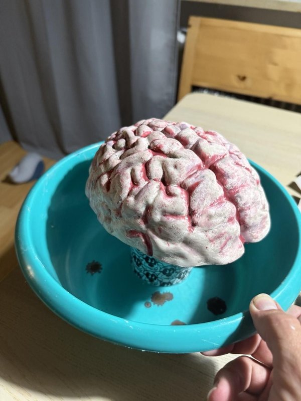 뇌 주형 만들기