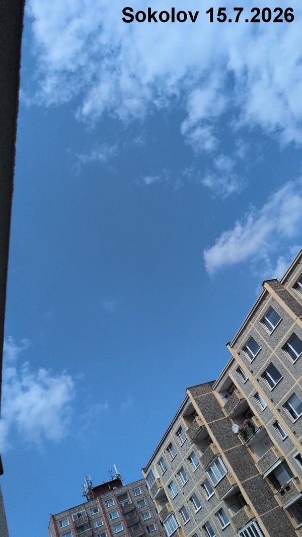 실험