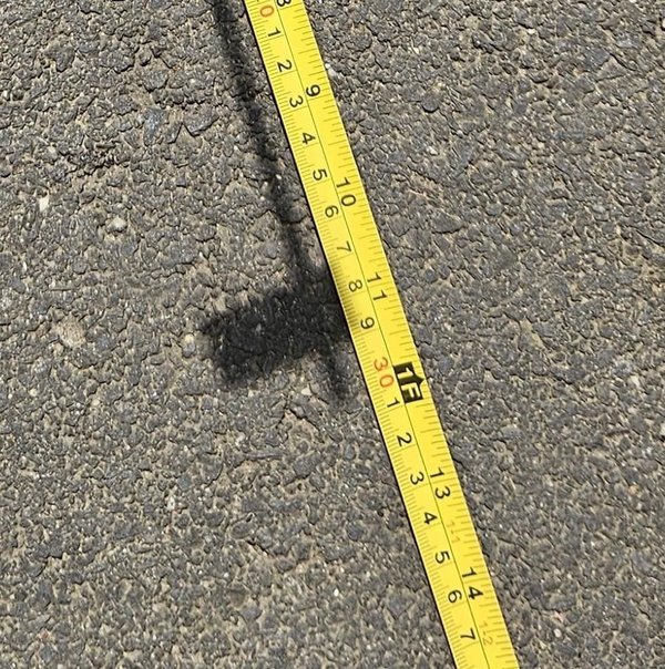 실험