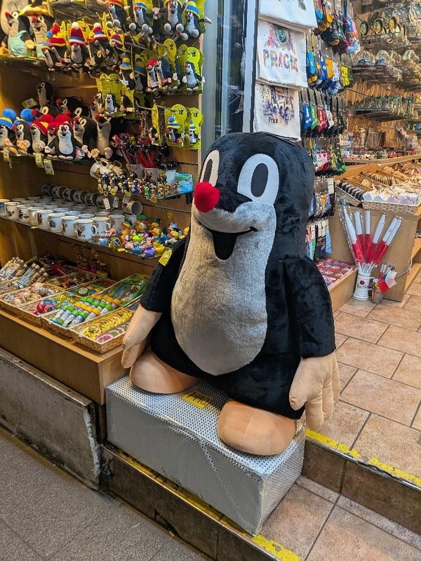 실험