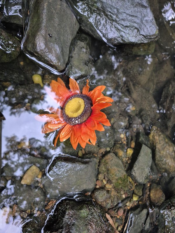 환경 영향