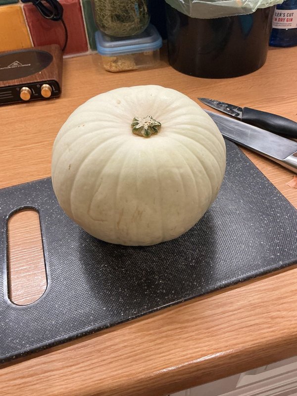 구운 호박 그릇
